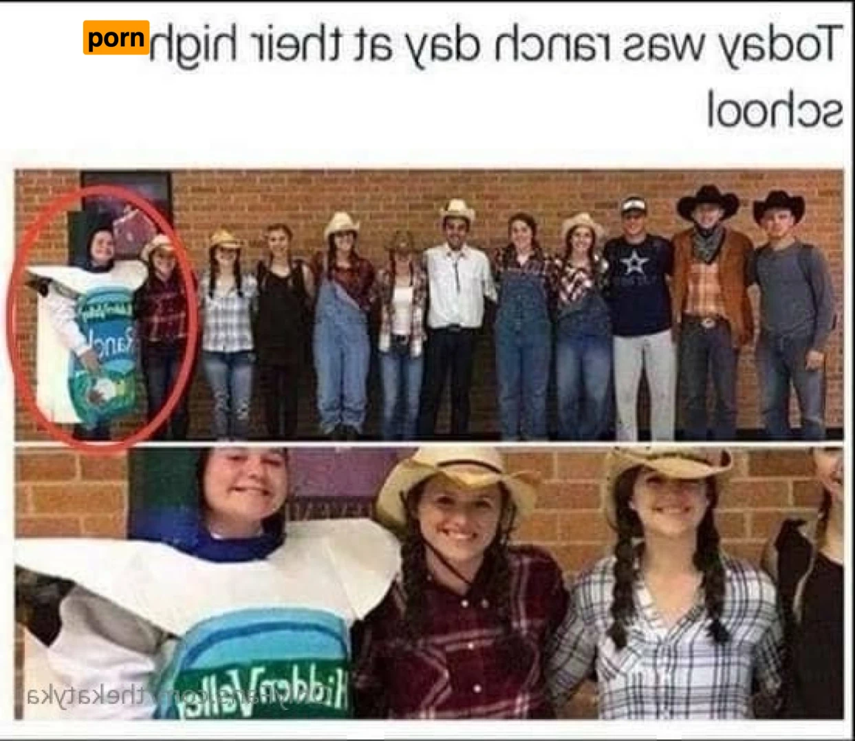 🍀 Katy Kat 🍀 15229997