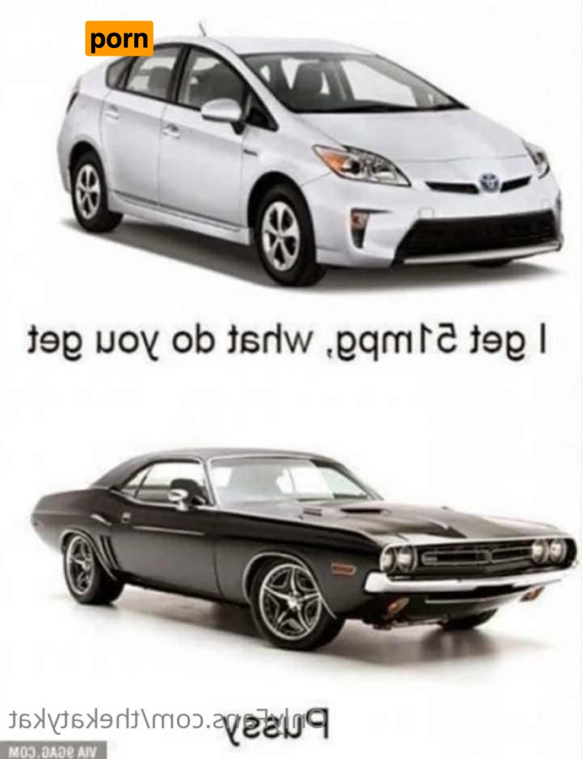 🍀 Katy Kat 🍀 15230207