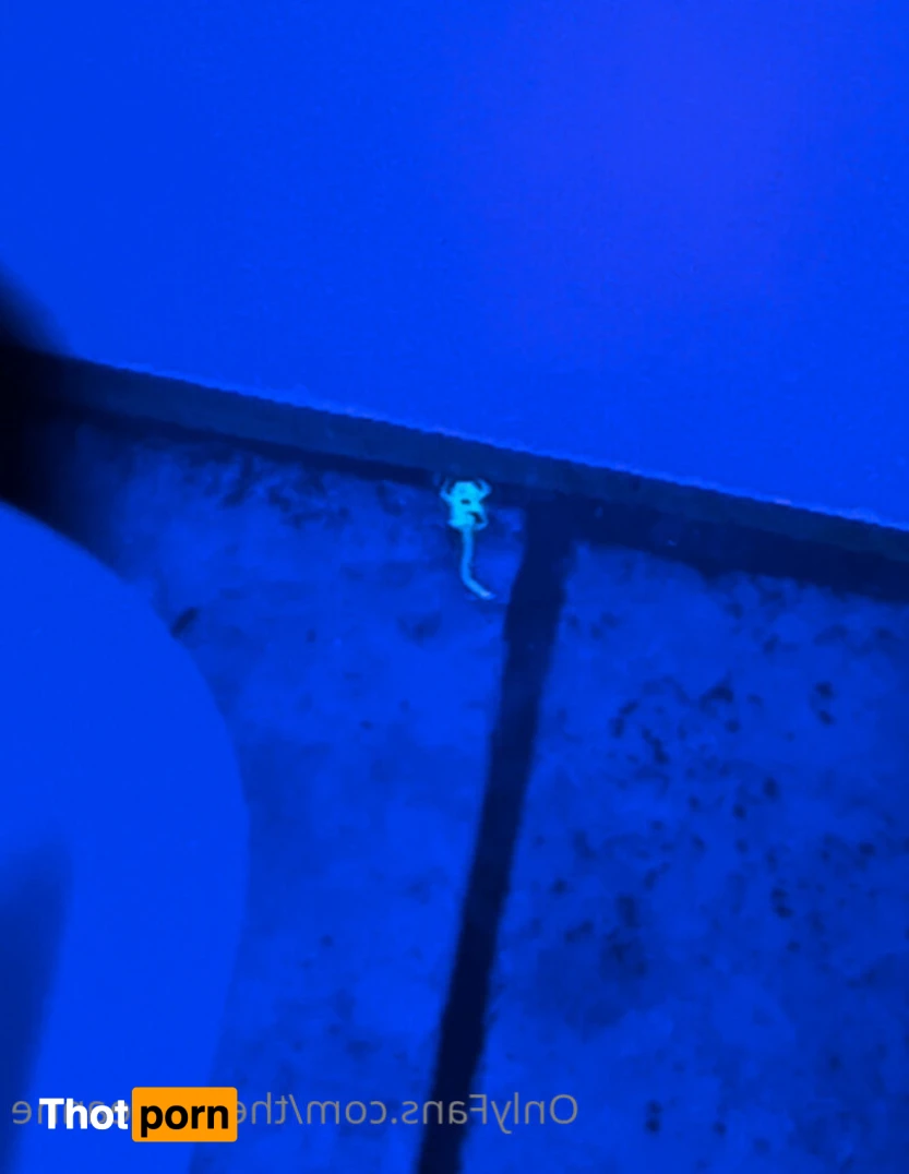 Lady Leanne 15223643