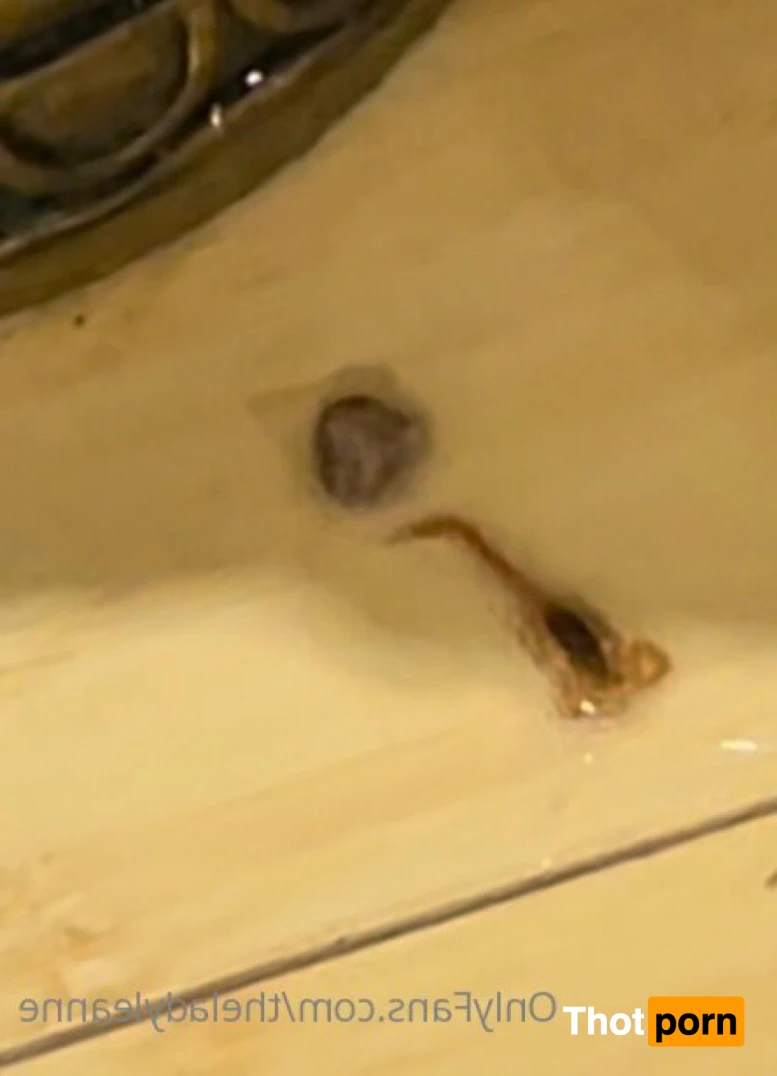 Lady Leanne 15223739