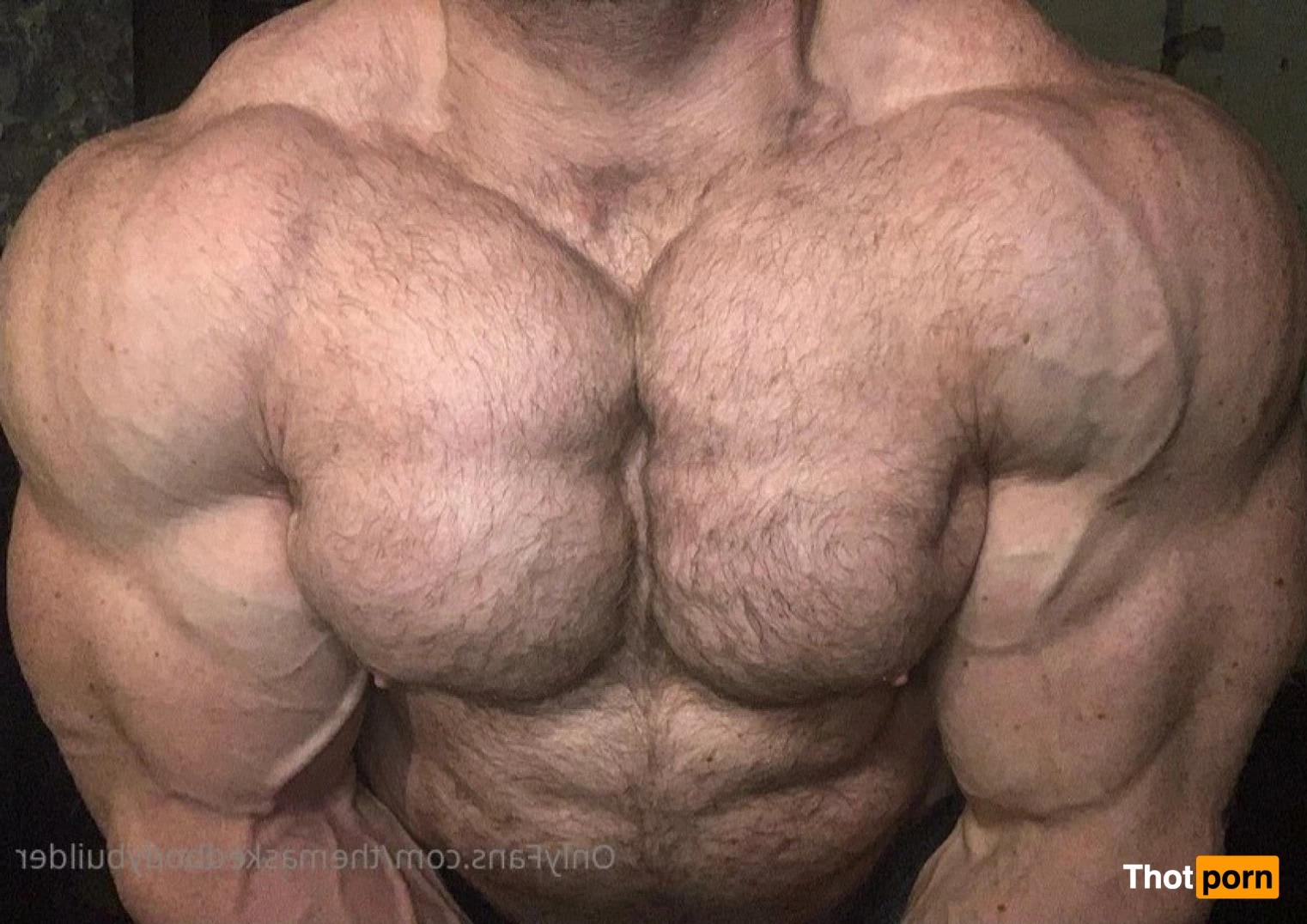 The masked bodybuider 4861571