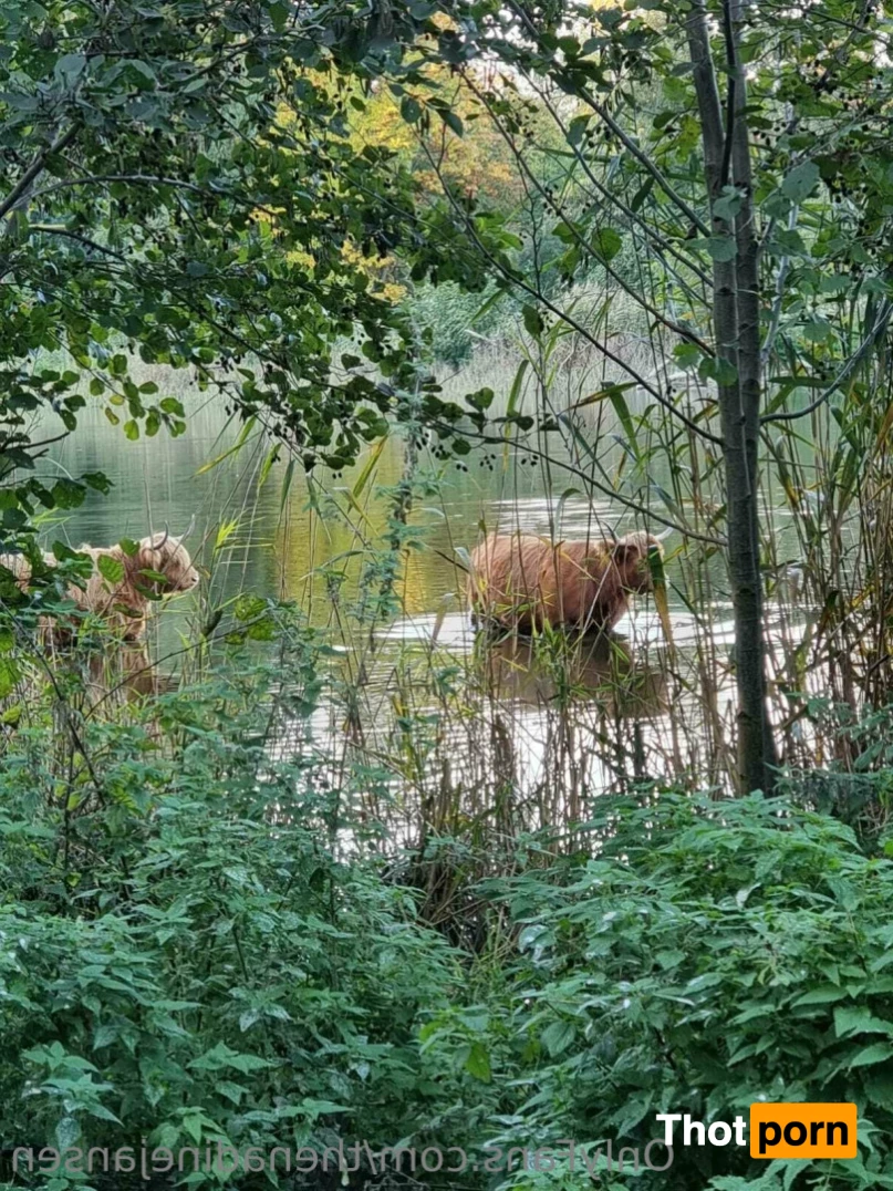 Nadine jansen 10815000