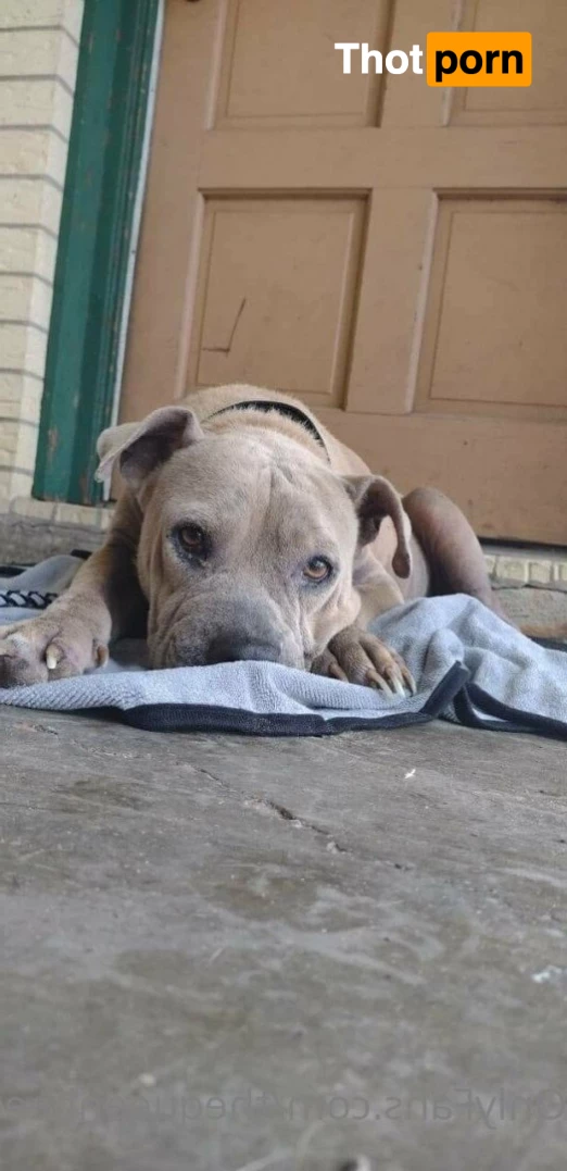 TheQu33nOfAmputations 4859294