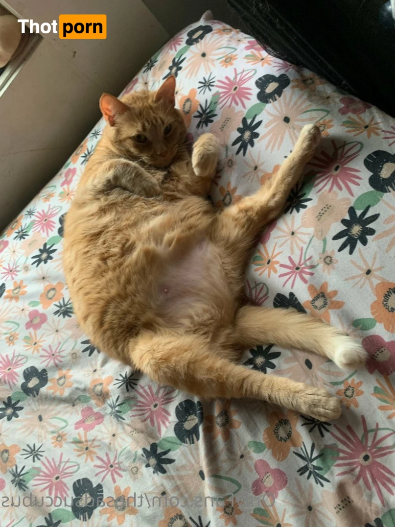 DΣMӨПΣƧƧ 4927902