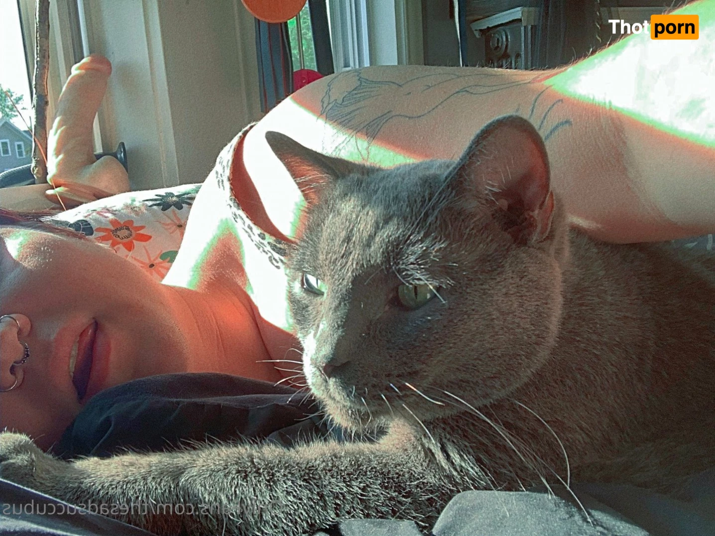 DΣMӨПΣƧƧ 4927928