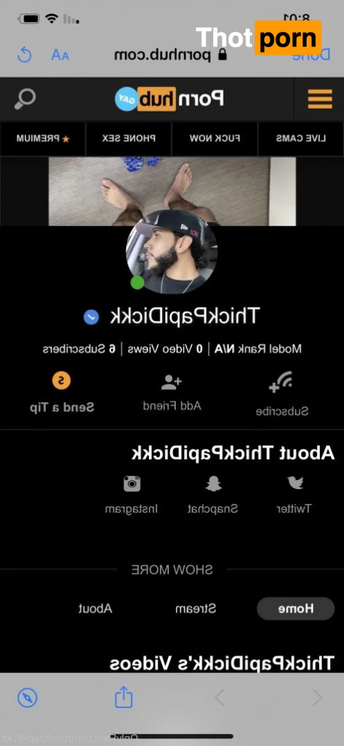 ThickPapiDickk 4923430