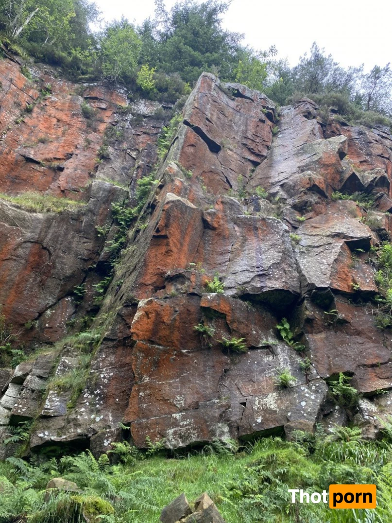 Thorri &amp; Jax 4921183