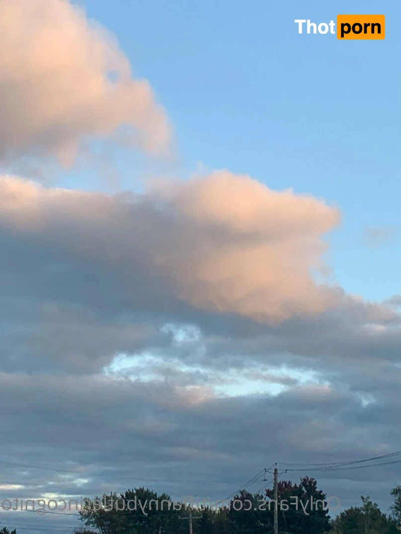 Tiffany Butler 4919435