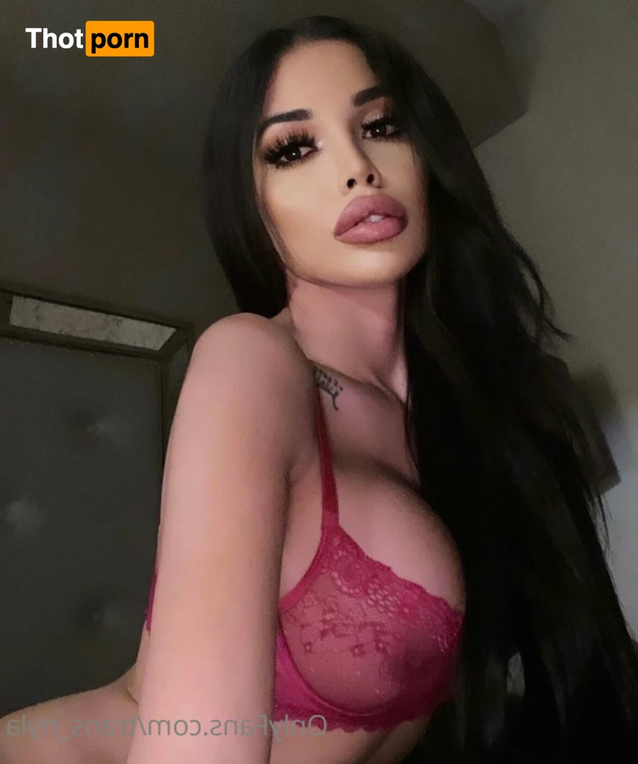 Trans_nyla 15218622