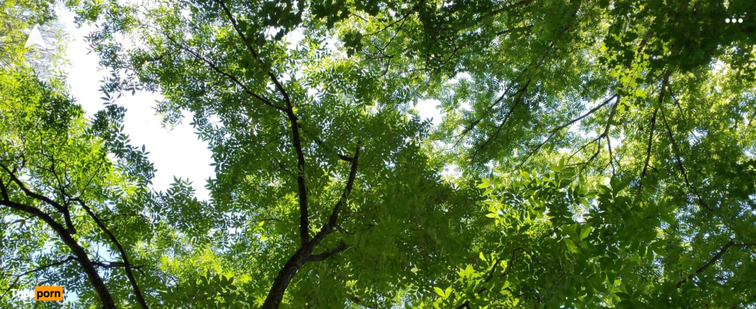 Rose Marie Jackson 9174829