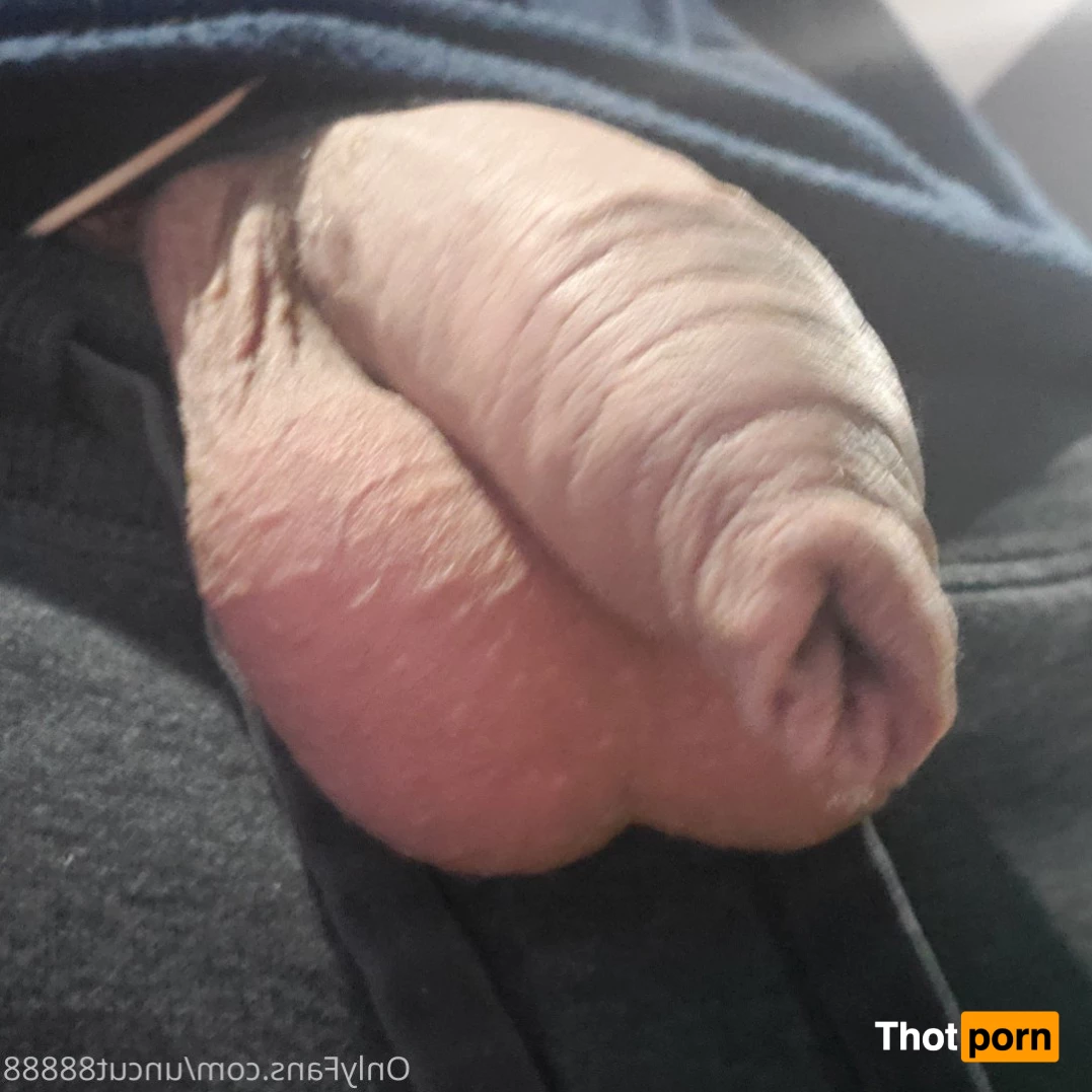 Uncut and Hung 4806622