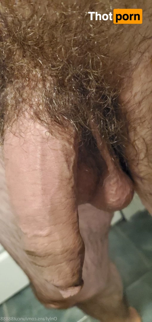 Uncut and Hung 4806662