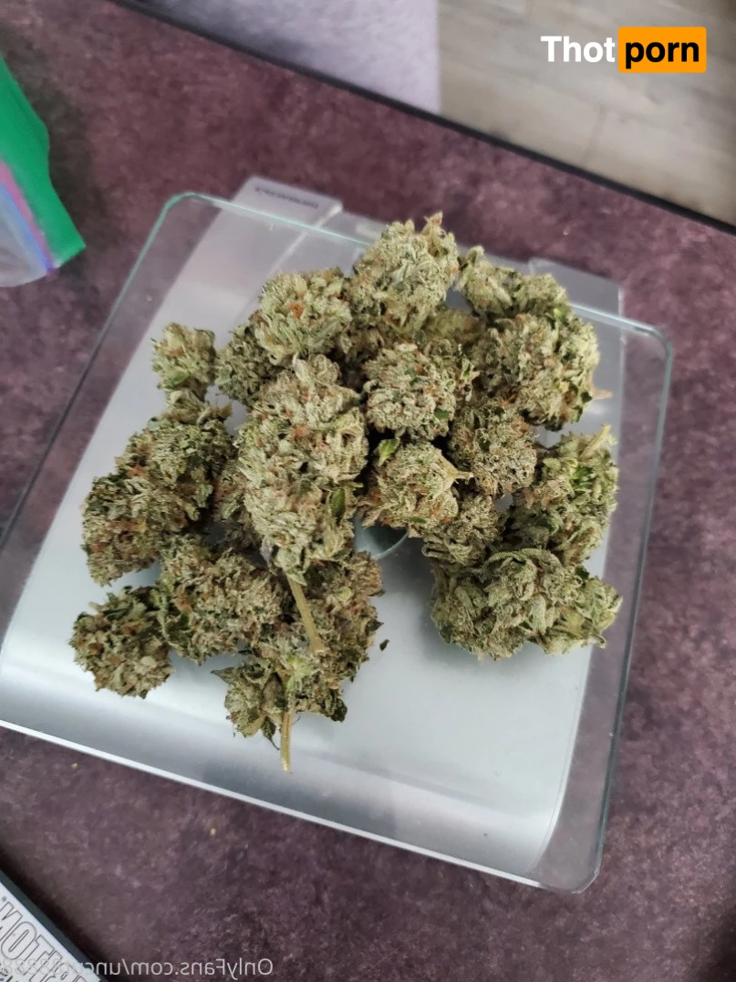 Uncut and Hung 4806725