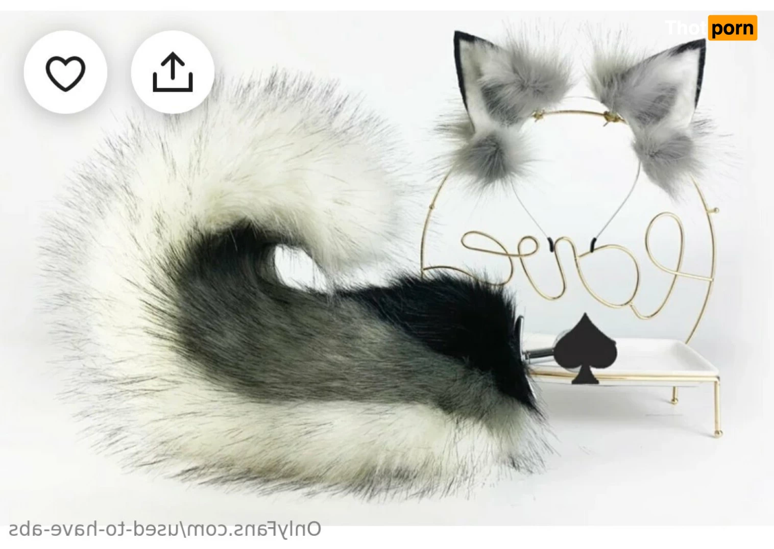 Usedtohaveabs 10788181