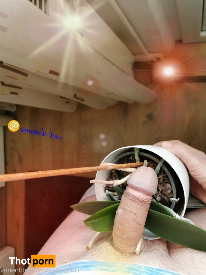 Wet Dreams♋ 4798171