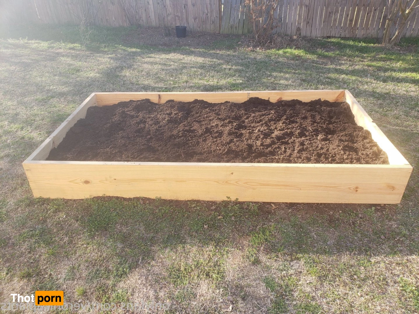 veronikaplants 4799327