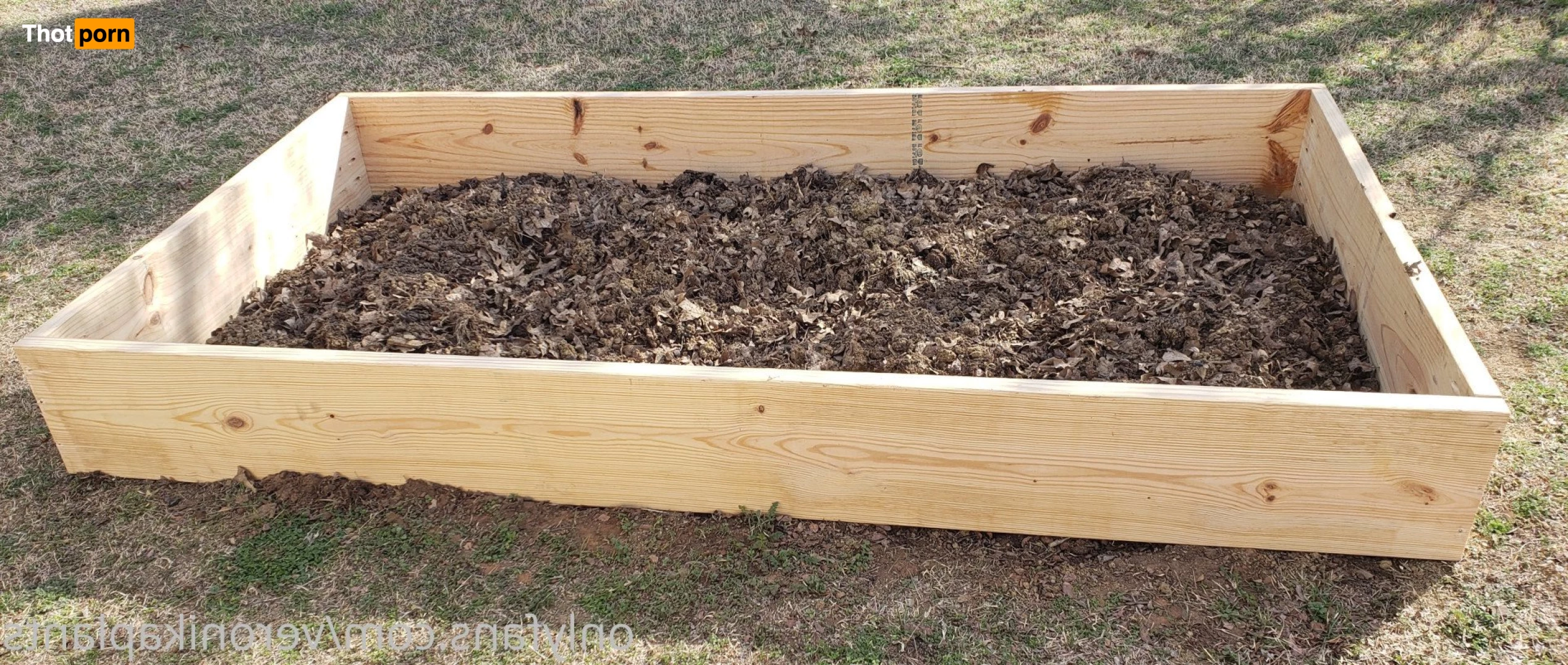 veronikaplants 4799330