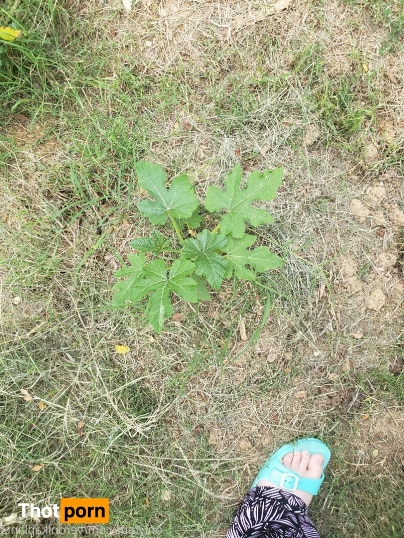 veronikaplants 4799346