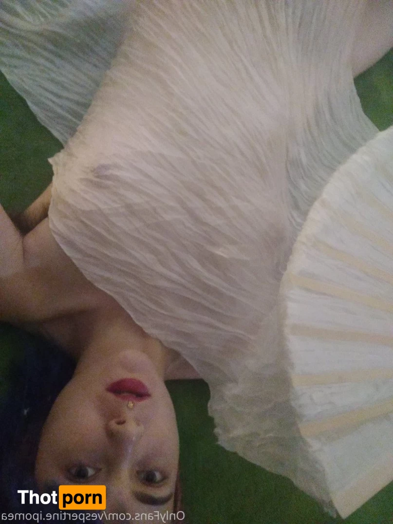 Count Luxuria 4798176