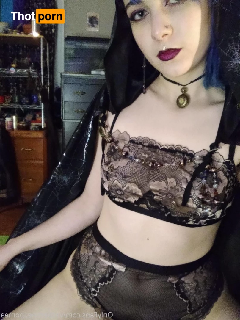 Count Luxuria 4798270