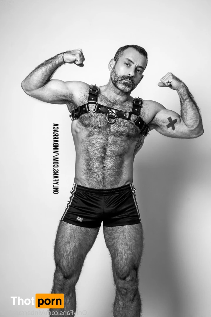 VinBarracaFree 15204289