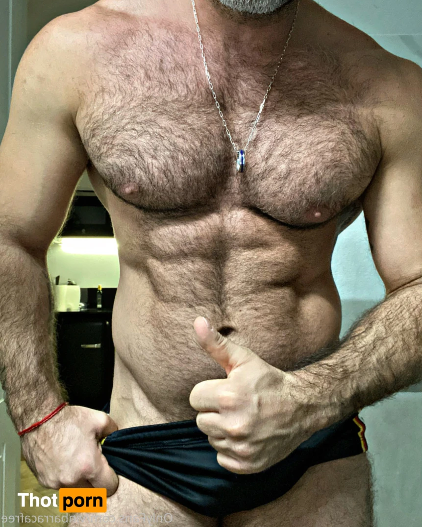 VinBarracaFree 15204326