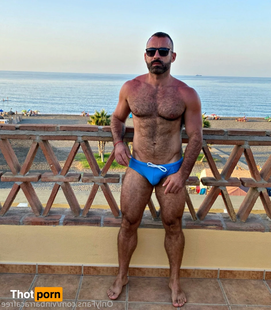 VinBarracaFree 15204340