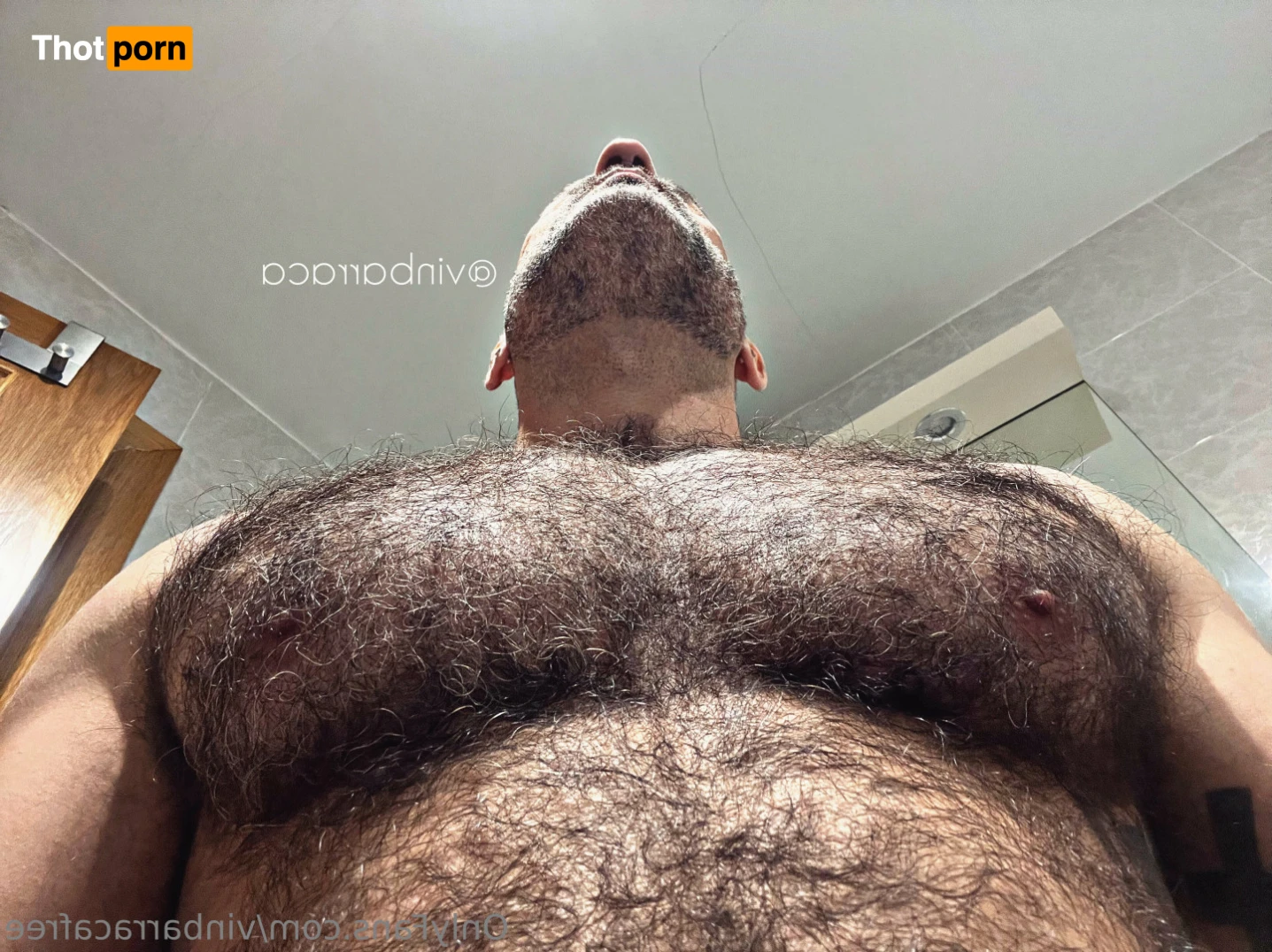 VinBarracaFree 15204408