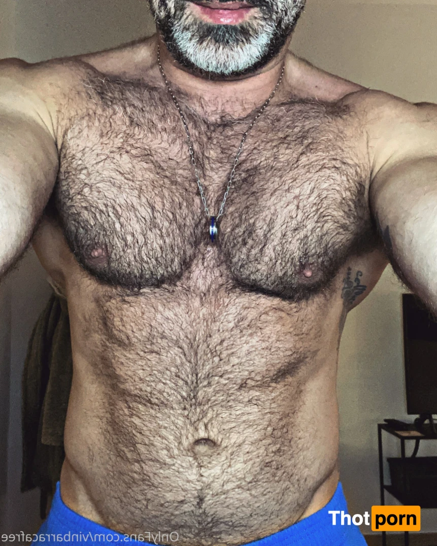 VinBarracaFree 15204572