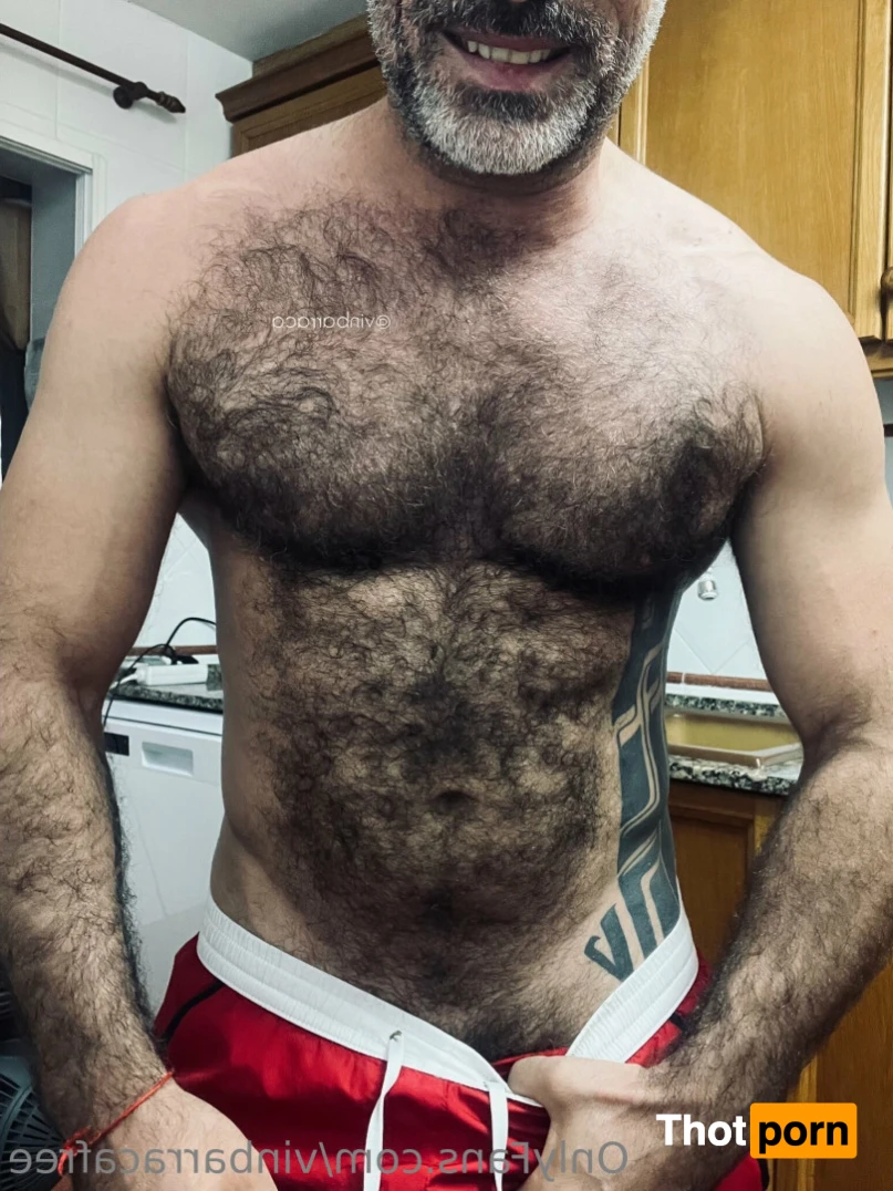 VinBarracaFree 15204639