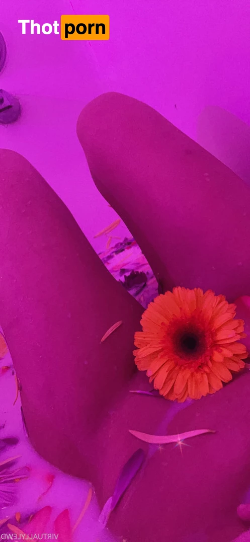 VIRTUALLYLEWD top 0.69% 5516206