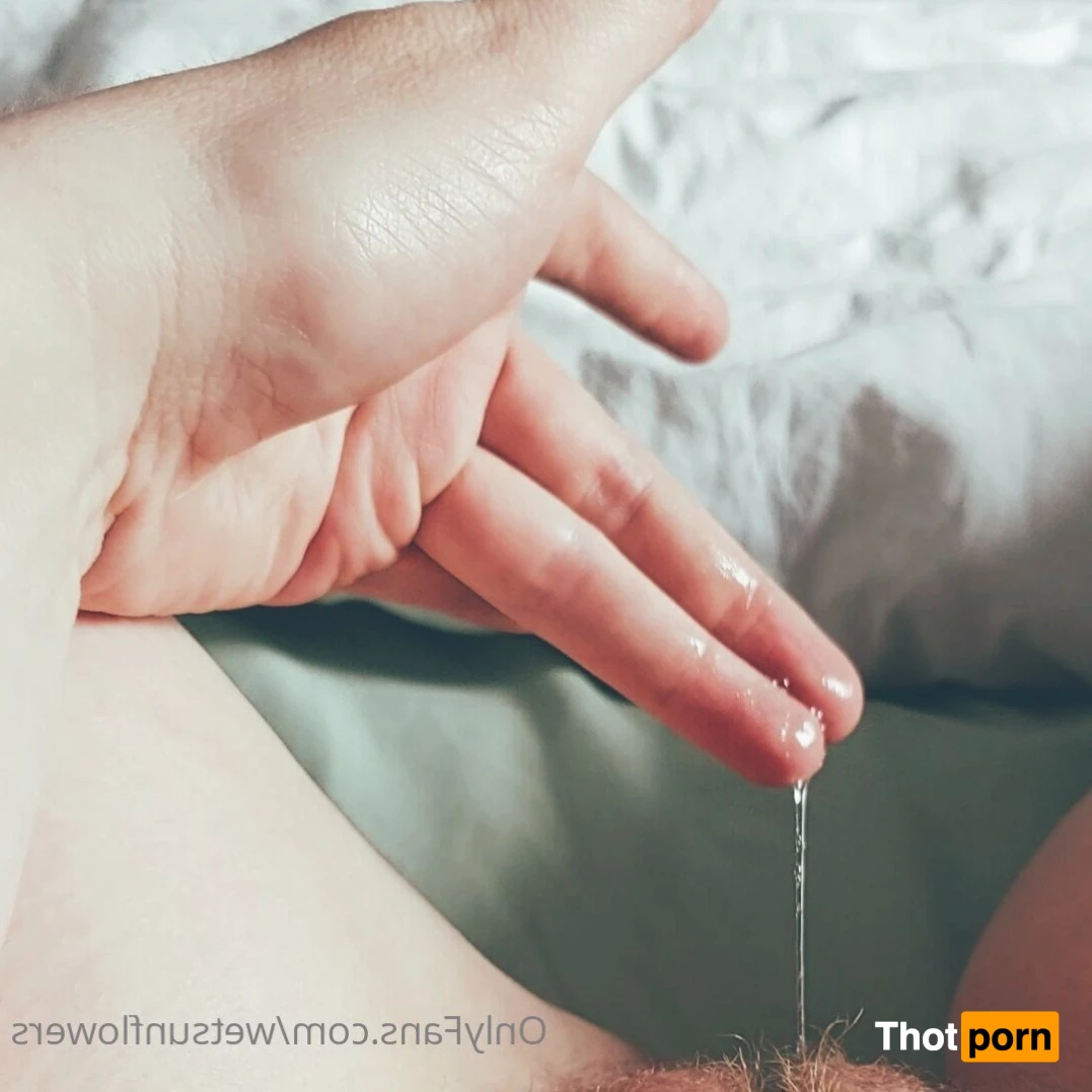 Miss Sunflowers 4790709