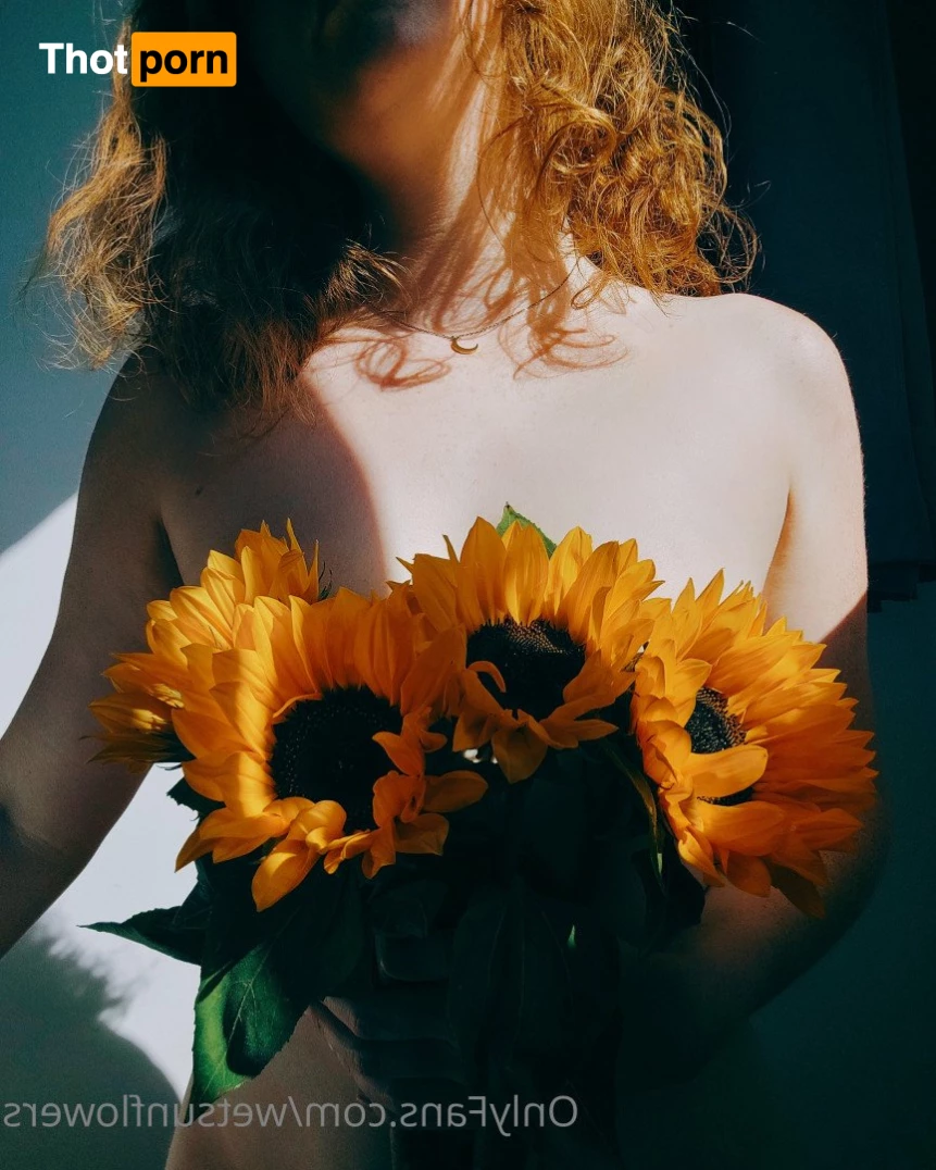 Miss Sunflowers 4790723