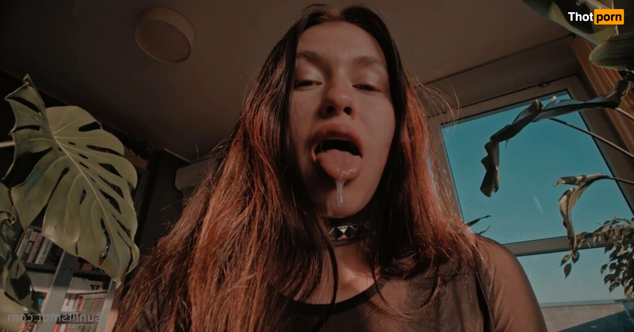 Misha Cross 10644608