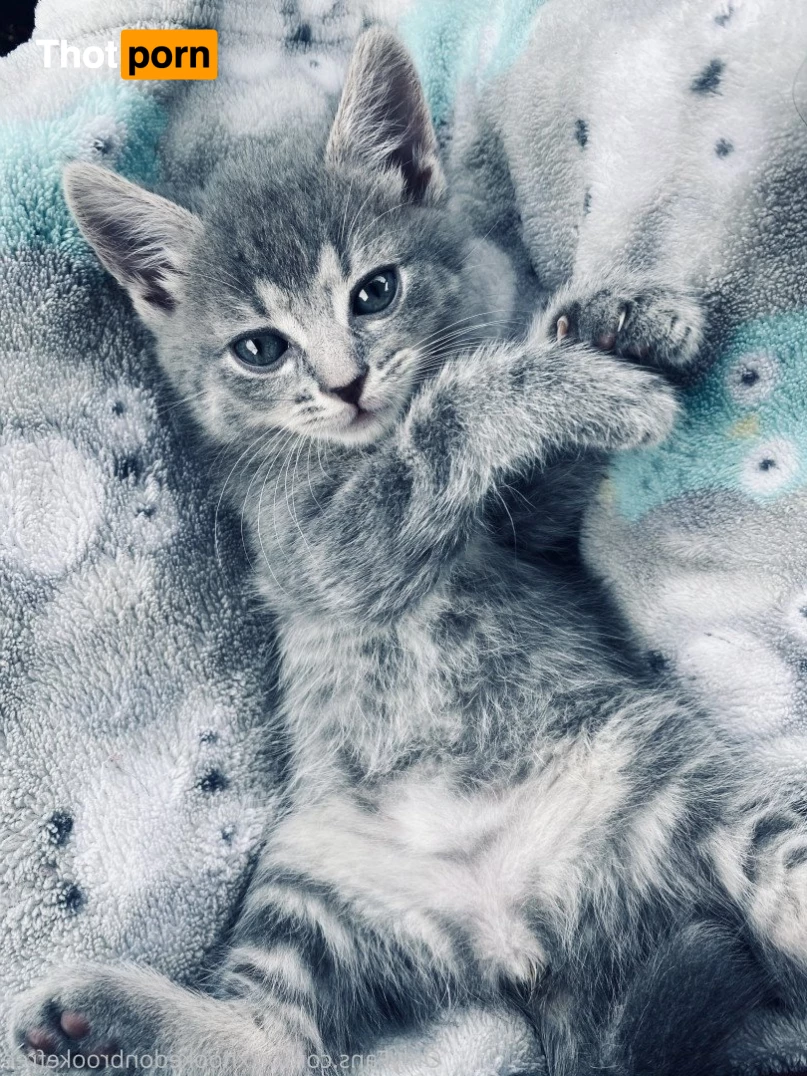 xxxhookedonbrookefree 4757180