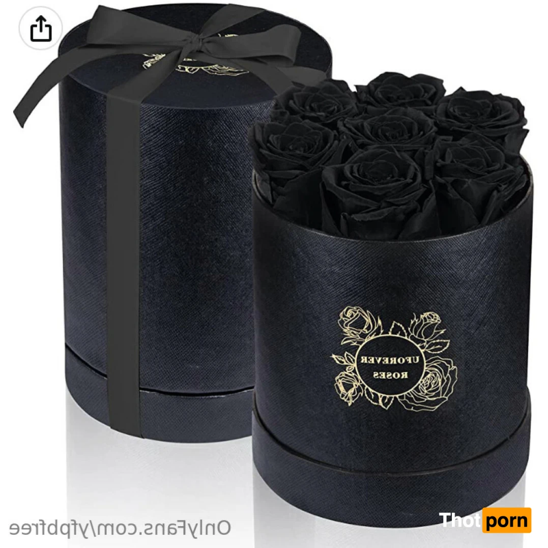 𝒱𝒾𝓁𝓁𝒶𝓃𝑒𝓁𝓁𝑒 15122125