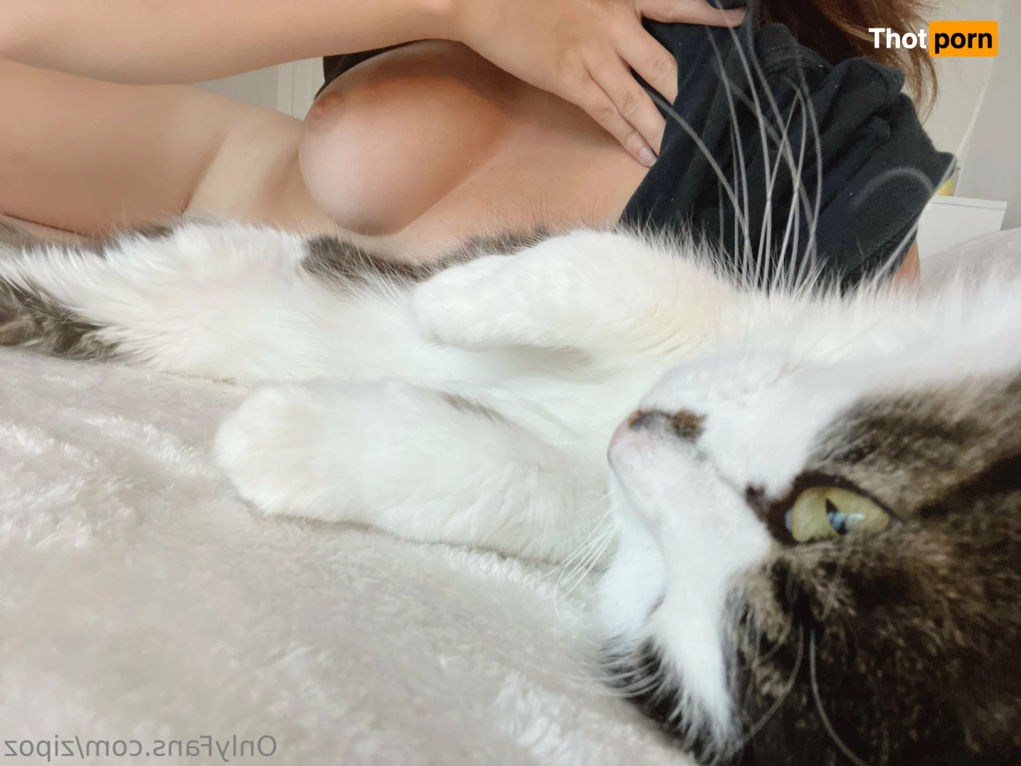 Alyssa Alessio 15109038