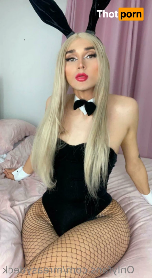 freemreasydeck 12032568