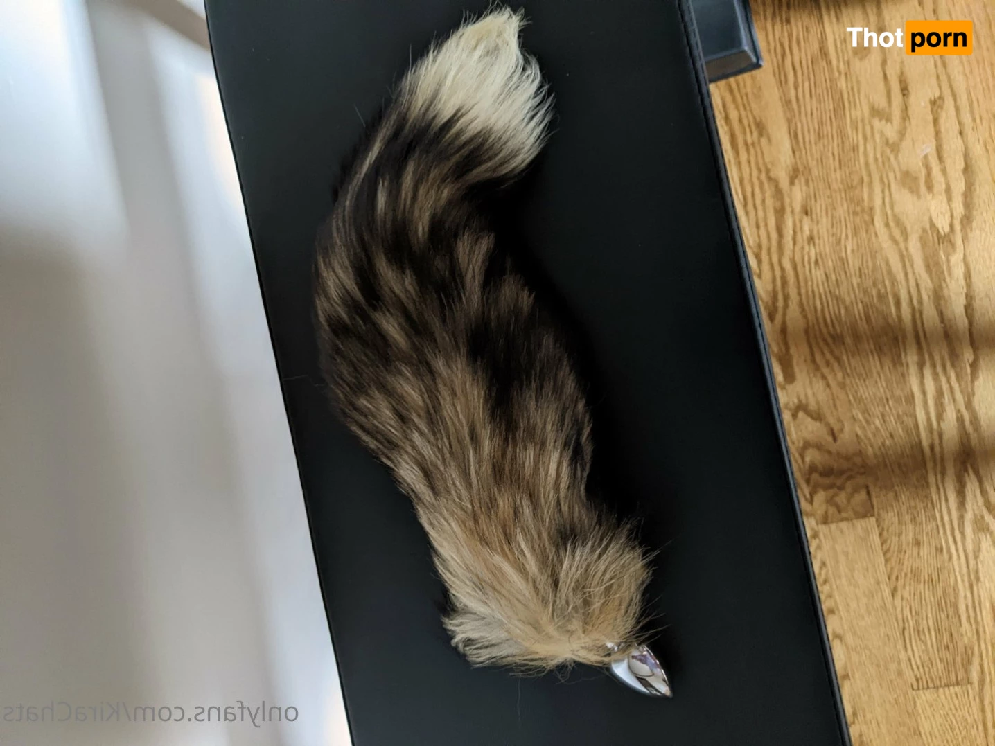 KiraChats 😳 4715713