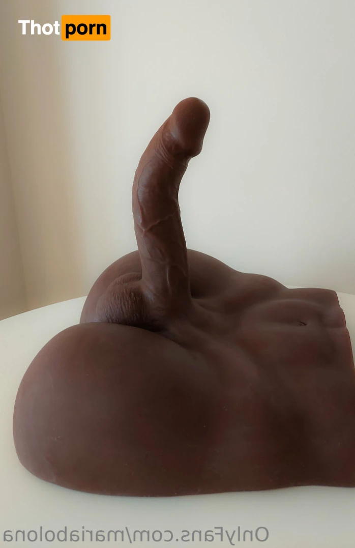 Maria bolona 15047534