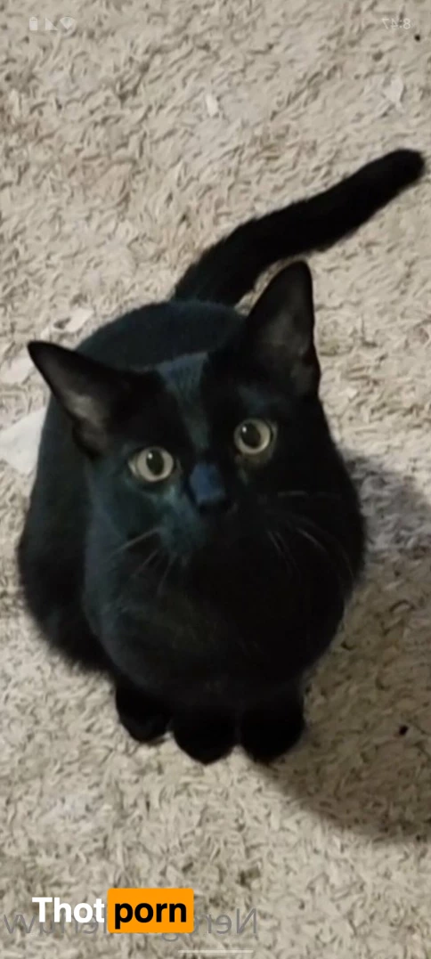 Kimmie🏳️‍🌈Gibbler SEXTING QUEEN 📱 4710639