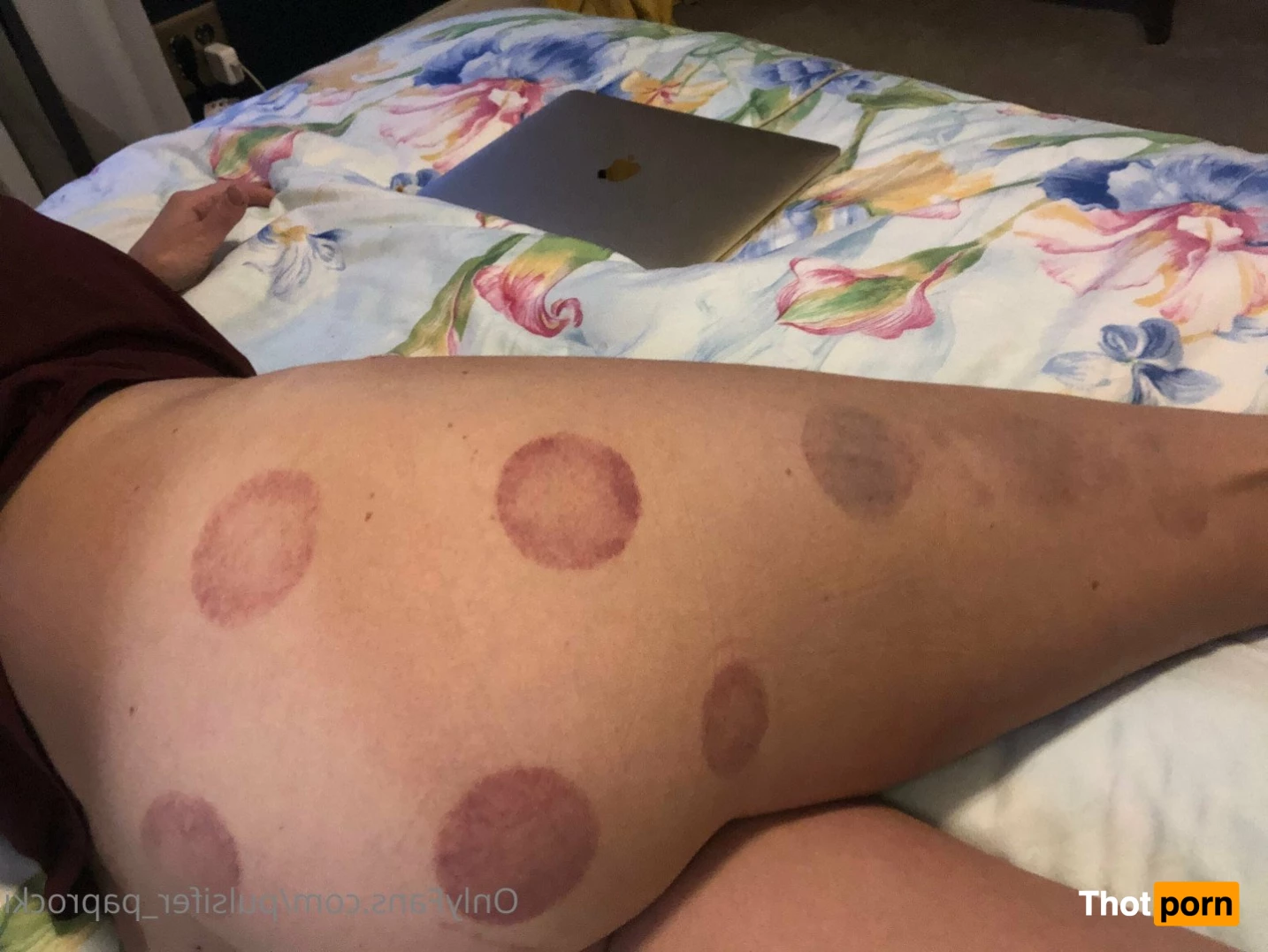 Pulsifer Paprocki 4708268