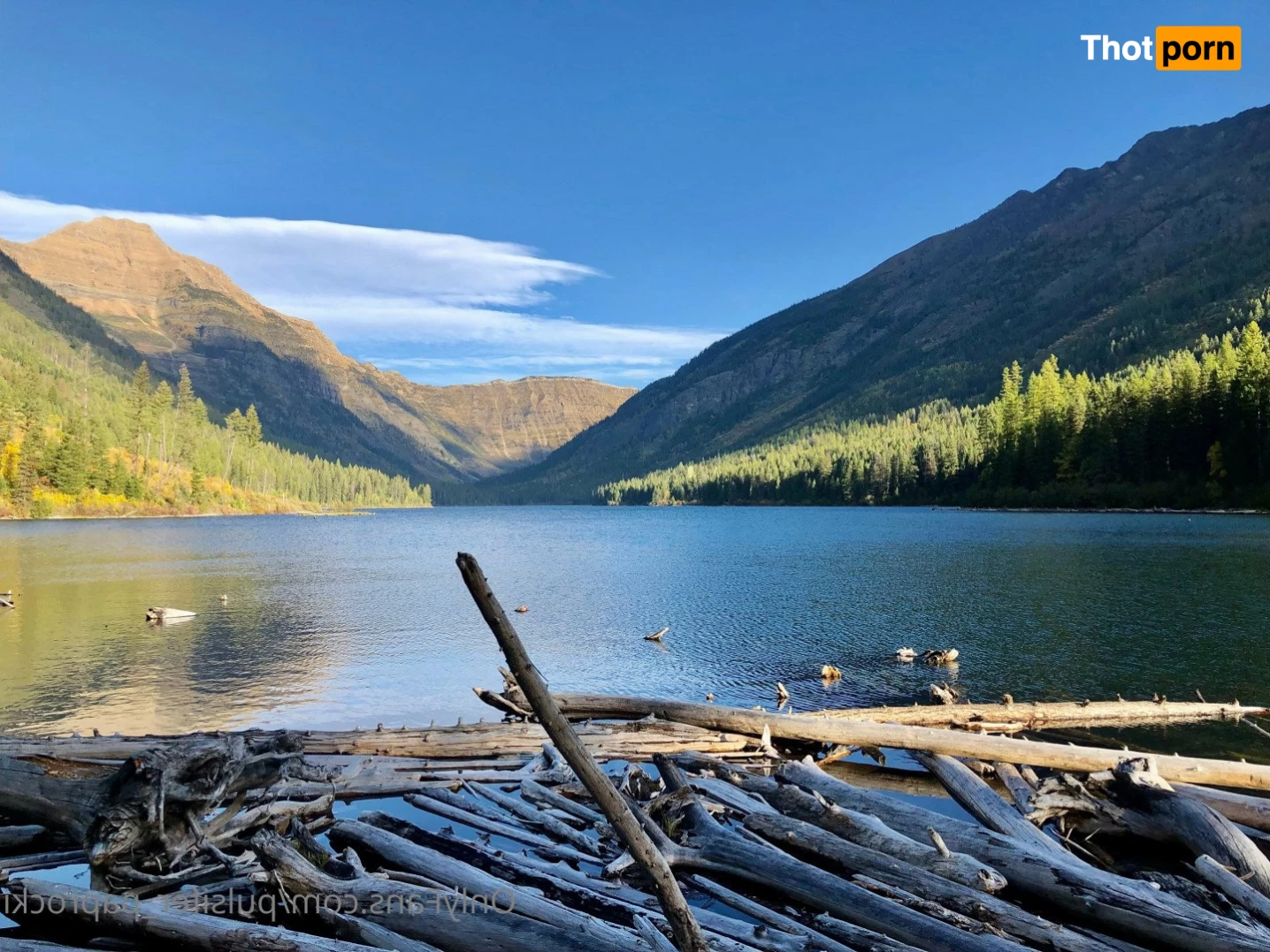 Pulsifer Paprocki 4708321