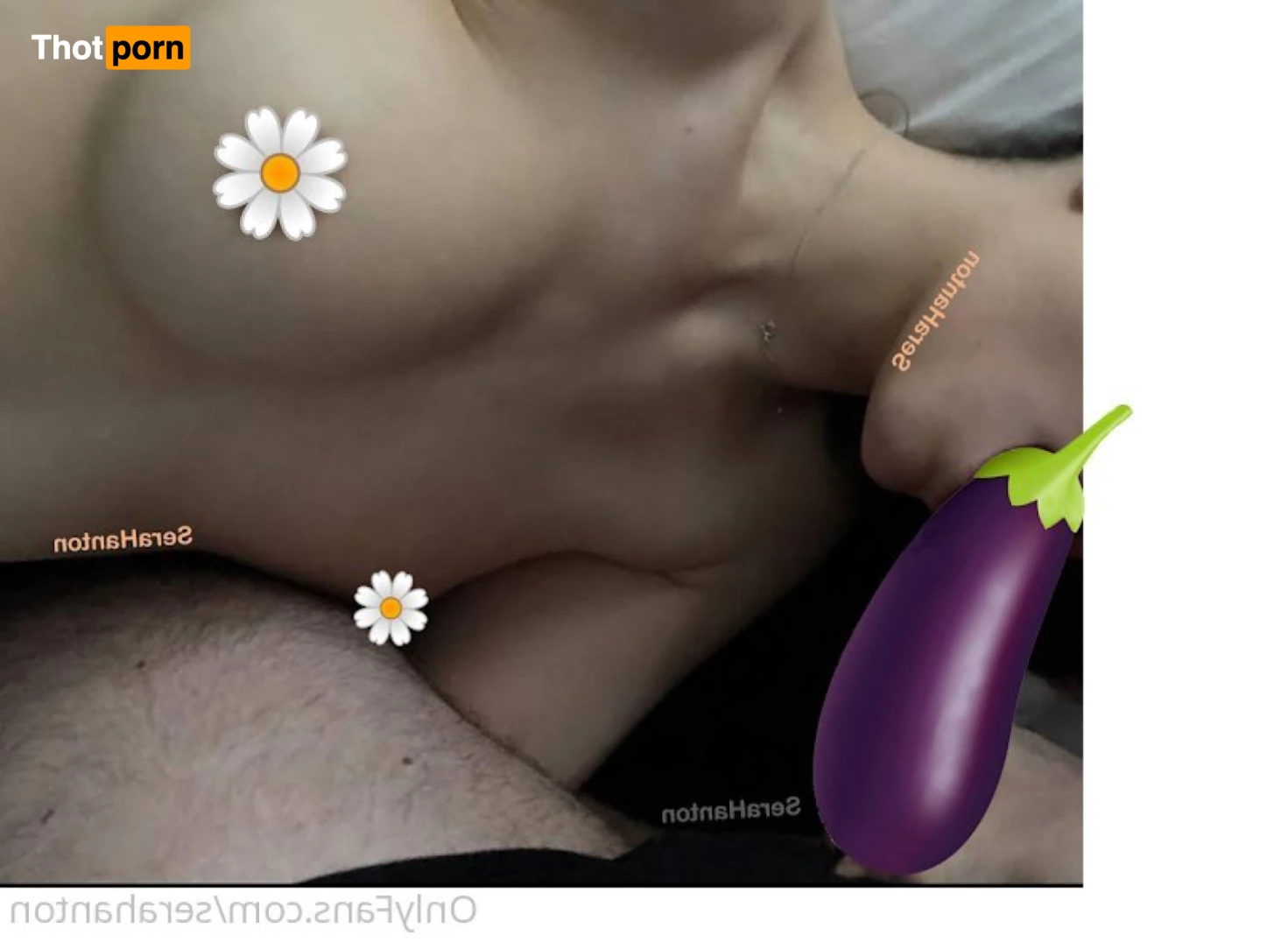 Sera Hanton 10687159