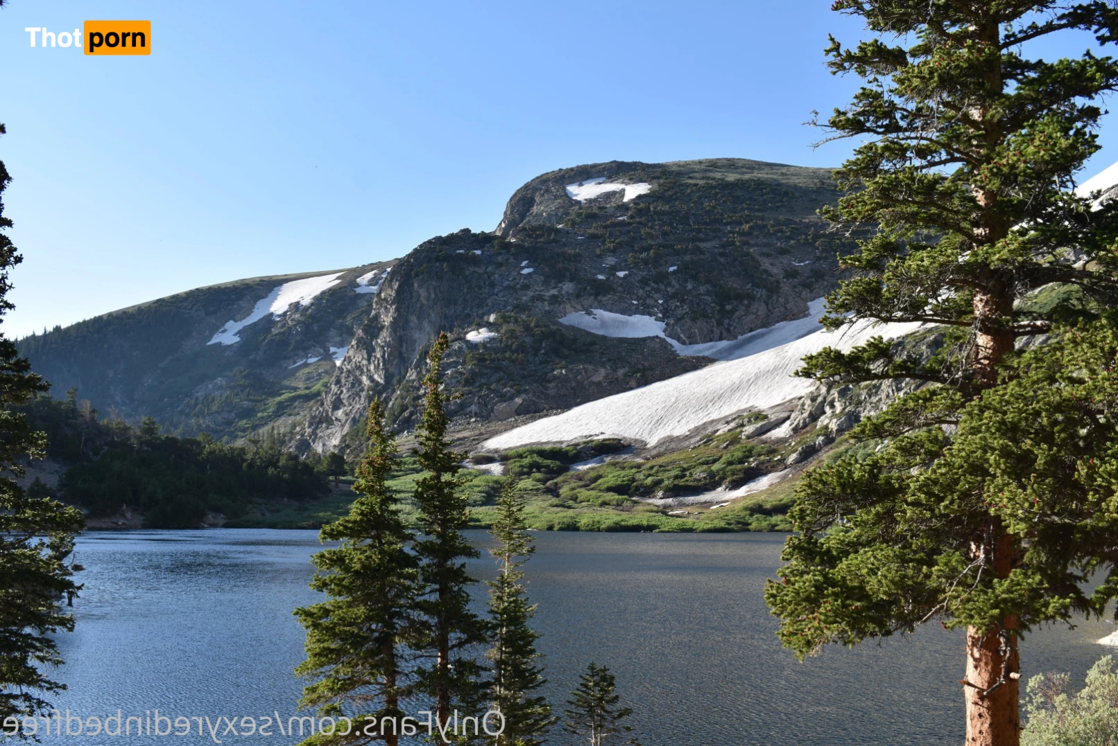 SexyRedinBedFree 14999334