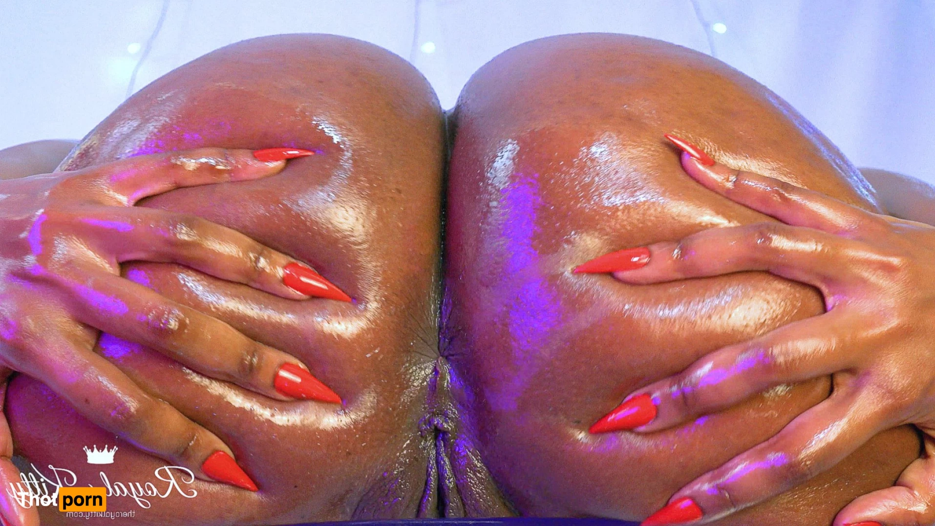 The Royal Kitty 4697648