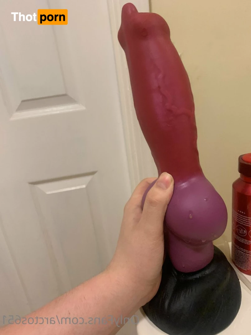 Arctos the pup and furry 4899184