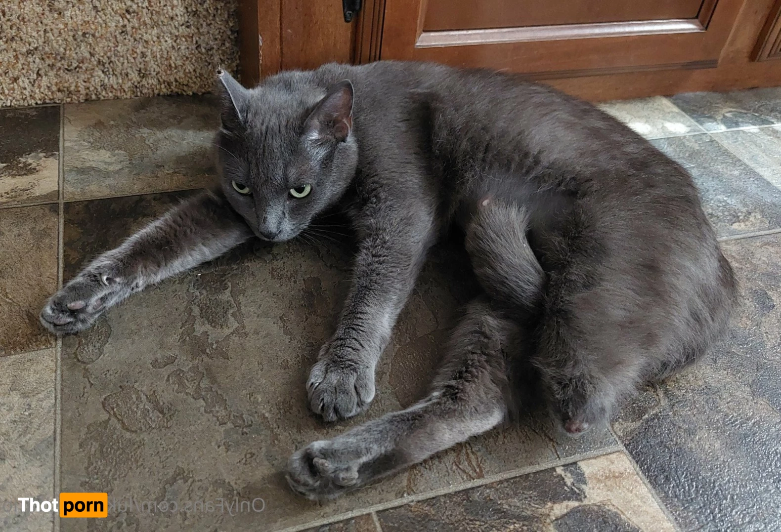 LukeyLewdcario 4869474