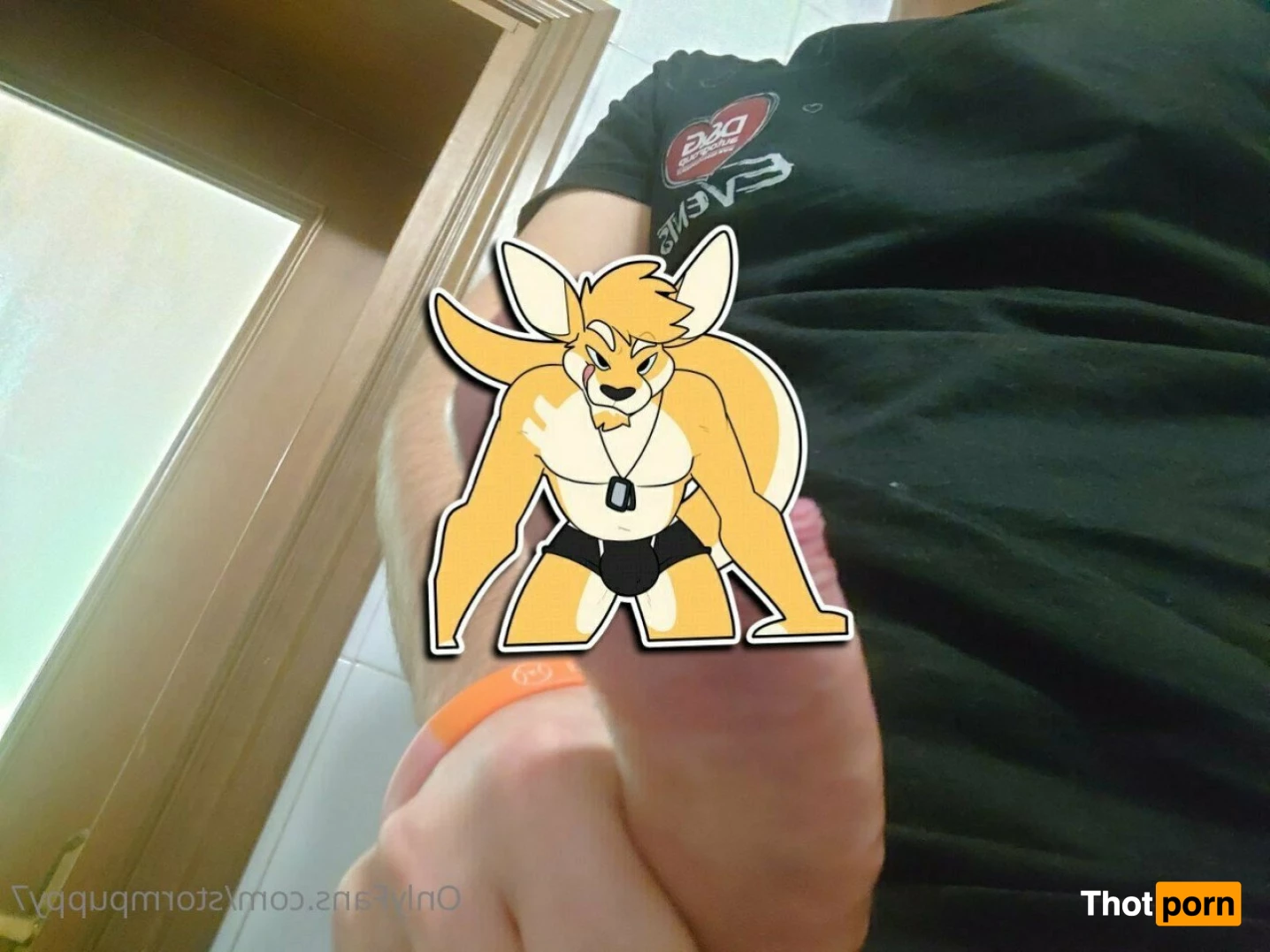 Thunder Storm ⚡️⚡️⚡️ 4866949