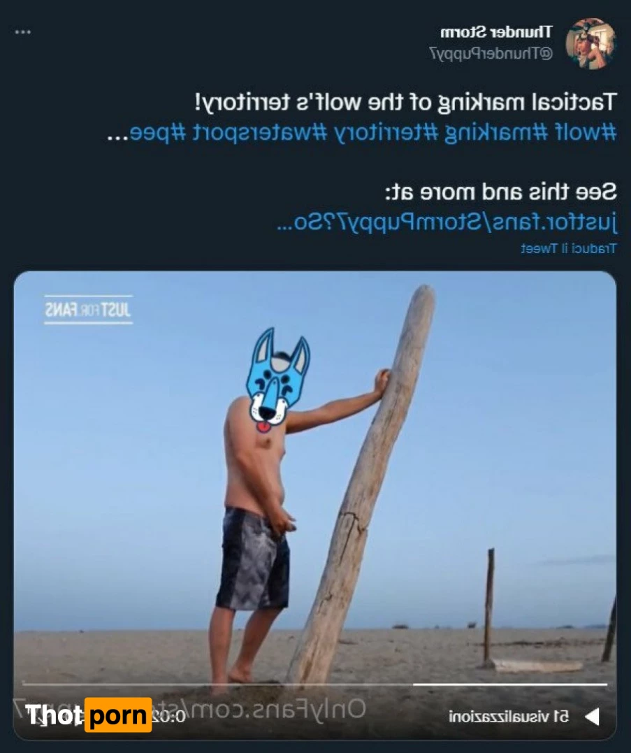 Thunder Storm ⚡️⚡️⚡️ 4867159